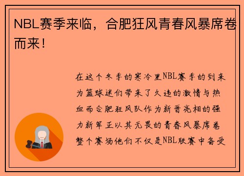 NBL赛季来临，合肥狂风青春风暴席卷而来！