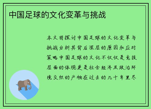中国足球的文化变革与挑战